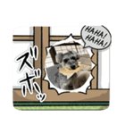 ショコラ 挨拶（個別スタンプ：7）