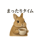 【癒し】リアルすぎるうさぎのほんわか（個別スタンプ：3）