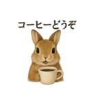 【癒し】リアルすぎるうさぎのほんわか（個別スタンプ：11）