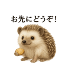 【癒し】リアルすぎるハリネズミのまったり（個別スタンプ：1）