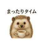 【癒し】リアルすぎるハリネズミのまったり（個別スタンプ：3）
