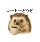 【癒し】リアルすぎるハリネズミのまったり（個別スタンプ：9）