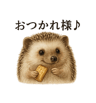 【癒し】リアルすぎるハリネズミのまったり（個別スタンプ：11）