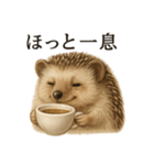 【癒し】リアルすぎるハリネズミのまったり（個別スタンプ：12）