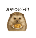 【癒し】リアルすぎるハリネズミのまったり（個別スタンプ：13）