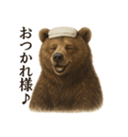 【癒し】リアルなヒグマのまったりカフェ（個別スタンプ：3）