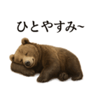 【癒し】リアルなヒグマのまったりカフェ（個別スタンプ：12）