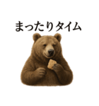 【癒し】リアルなヒグマのまったりカフェ（個別スタンプ：14）