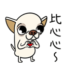 小さなチワワは喧嘩が大好き 2（個別スタンプ：3）