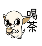 小さなチワワは喧嘩が大好き 2（個別スタンプ：4）