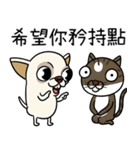 小さなチワワは喧嘩が大好き 2（個別スタンプ：5）