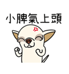 小さなチワワは喧嘩が大好き 2（個別スタンプ：7）