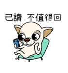 小さなチワワは喧嘩が大好き 2（個別スタンプ：11）