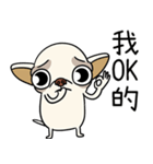 小さなチワワは喧嘩が大好き 2（個別スタンプ：22）