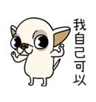 小さなチワワは喧嘩が大好き 2（個別スタンプ：23）