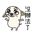 小さなチワワは喧嘩が大好き 2（個別スタンプ：33）