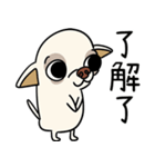 小さなチワワは喧嘩が大好き 2（個別スタンプ：38）