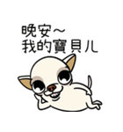 小さなチワワは喧嘩が大好き 2（個別スタンプ：40）