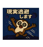 スローロリスと宇宙の旅@SFW（個別スタンプ：4）