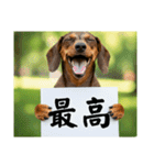 ダックスフンドからの【お知らせ】（個別スタンプ：9）
