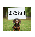 ダックスフンドからの【お知らせ】（個別スタンプ：17）