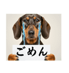 ダックスフンドからの【お知らせ】（個別スタンプ：23）