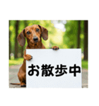 ダックスフンドからの【お知らせ】（個別スタンプ：30）