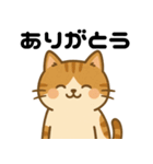 愛嬌たっぷりの表情豊かな三毛猫（個別スタンプ：1）