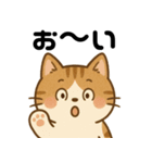 愛嬌たっぷりの表情豊かな三毛猫（個別スタンプ：2）