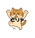 愛嬌たっぷりの表情豊かな三毛猫（個別スタンプ：3）