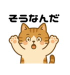 愛嬌たっぷりの表情豊かな三毛猫（個別スタンプ：4）