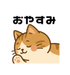 愛嬌たっぷりの表情豊かな三毛猫（個別スタンプ：5）