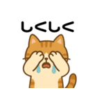 愛嬌たっぷりの表情豊かな三毛猫（個別スタンプ：7）