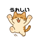 愛嬌たっぷりの表情豊かな三毛猫（個別スタンプ：10）