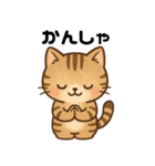 愛嬌たっぷりの表情豊かな三毛猫（個別スタンプ：15）