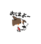 すきっぱバーニーズ（個別スタンプ：5）
