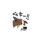 すきっぱバーニーズ（個別スタンプ：9）