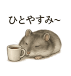 【癒し】ハムスターのまったりカフェ（個別スタンプ：1）