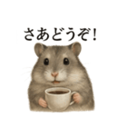 【癒し】ハムスターのまったりカフェ（個別スタンプ：6）