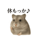 【癒し】ハムスターのまったりカフェ（個別スタンプ：12）