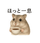 【癒し】ハムスターのまったりカフェ（個別スタンプ：15）