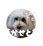 めるるの新一セレクト⑥関西弁版（個別スタンプ：5）