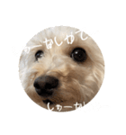 めるるの新一セレクト⑥関西弁版（個別スタンプ：6）