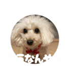 めるるの新一セレクト⑥関西弁版（個別スタンプ：13）