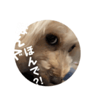 めるるの新一セレクト⑥関西弁版（個別スタンプ：15）