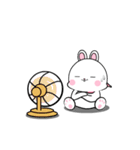 かわいいウサギ : アニメーションスタンプ（個別スタンプ：13）