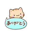 小さいトラネコ☆かわいい吹き出し（個別スタンプ：12）