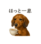 【癒し】ミニチュアダックスフンドカフェ（個別スタンプ：3）