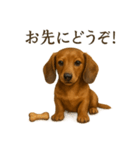 【癒し】ミニチュアダックスフンドカフェ（個別スタンプ：7）