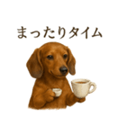 【癒し】ミニチュアダックスフンドカフェ（個別スタンプ：8）